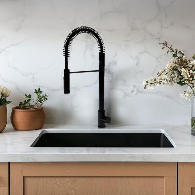 Waterevolution Flow semi-professionele keukenmengkraan mat zwart met kolom en veer T157PR