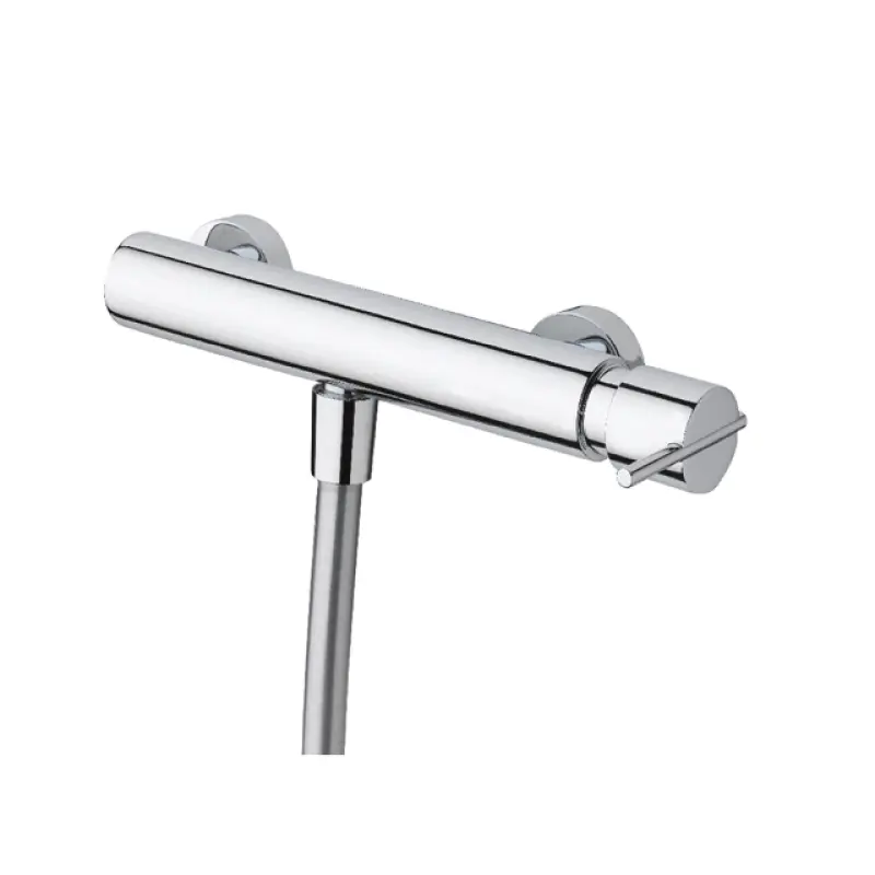 Waterevolution S22 douchemengkraan met handdoucheset opbouw RVS T440IE