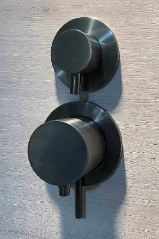 Rubio Inox inbouw thermostaatkraan met 2-weg omsteller volledig RVS PVD kleur Geborsteld Goud 1208920700 