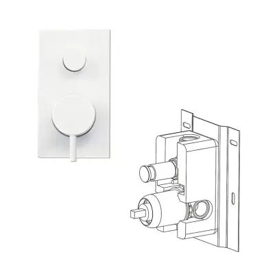 Waterevolution Flow inbouw douchethermostaat met 2 uitgangen mat wit T132TBBBR met TEC box