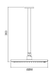 Waterevolution Flow hoofddouche 250mm met plafondaansluiting mat zwart T164225PR