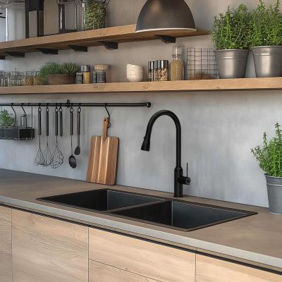 Quadri Stamford keukenmengkraan mat zwart met uitneembare uitloop en sproeistand 1208956095
