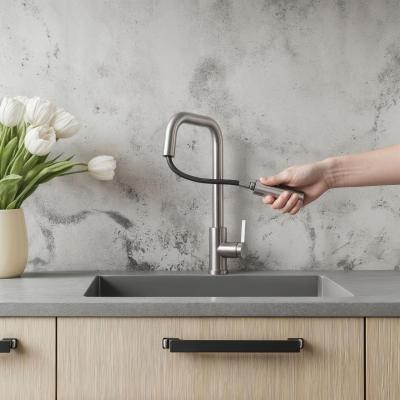 Pure.Sink Elite Steel Crystal-S keukenkraan RVS met uittrekbare uitloop PS8050-02
