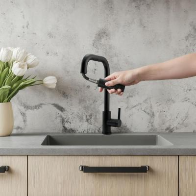 Pure.Sink Elite Steel Crystal-S keukenkraan Matzwart met uittrekbare uitloop PS8050-10