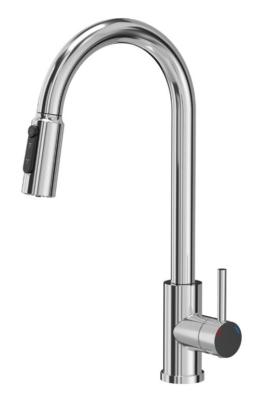 Quadri Viora Keukenmengkraan Chroom 3-weg met een extra aansluiting voor gefilterd water 1208971405