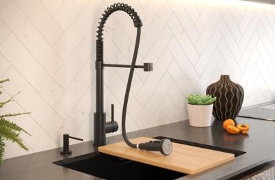 Quadri Redwick  keukenmengkraan zwart met half-flexibele uitloop en douche met 2 straalsoorten plus waterstop-functie 1208971410